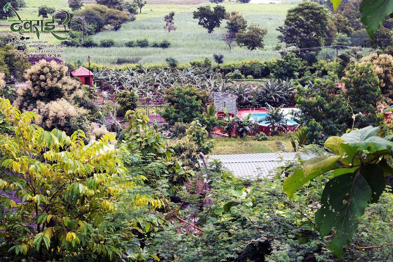 Deorai Farms And Agro Resort Pune Zewnętrze zdjęcie